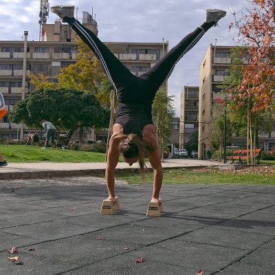 CALISTENIA APLICADA AL POLE (Clases Presenciales)